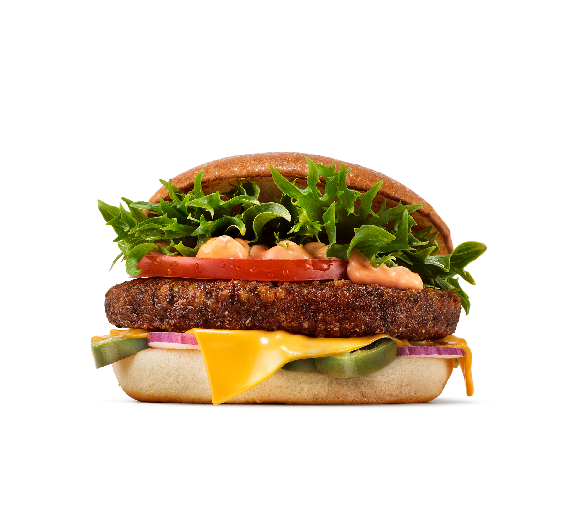 Mung Bean Burger